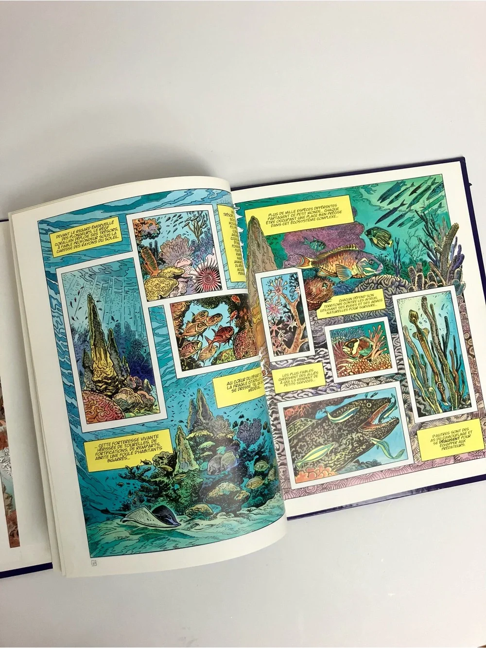 1997 La pieuvre rouge de Bornéo L'Aventure de l'équipe Cousteau en BD Livre Rare - Picture 9 of 17